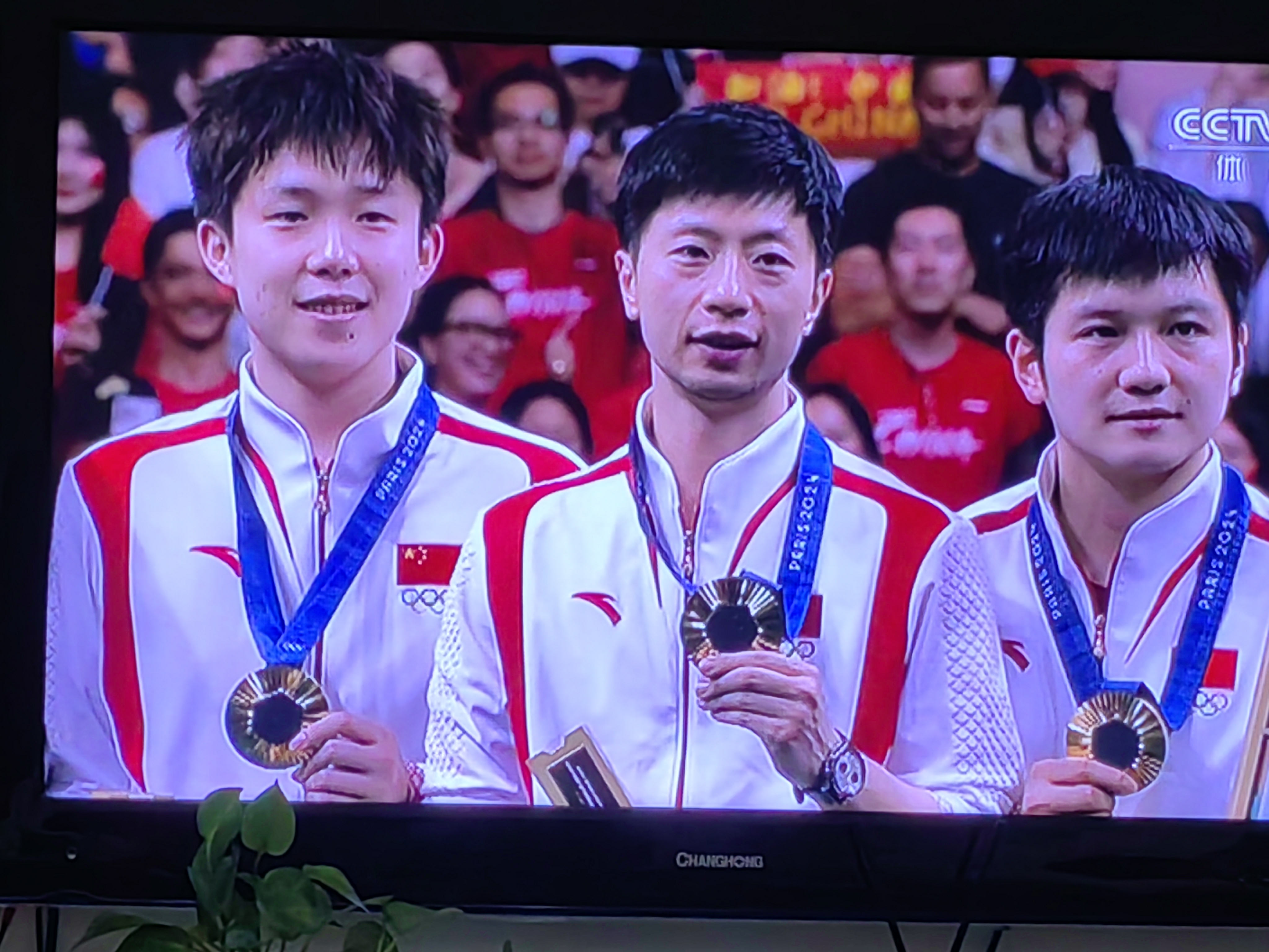 瑞典乒乓球队完胜德国乒乓球队，马龙高光表现的简单介绍