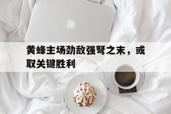 开云体育中国-黄蜂主场劲敌强弩之末，或取关键胜利的简单介绍