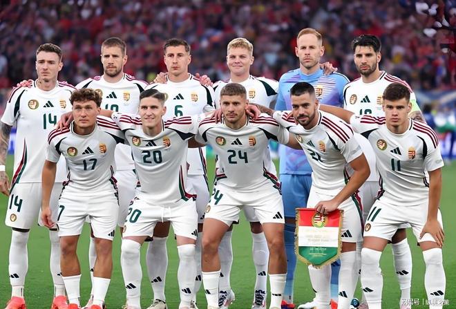 开云体育-葡萄牙完胜塞内加尔，佩德里关键制胜的简单介绍