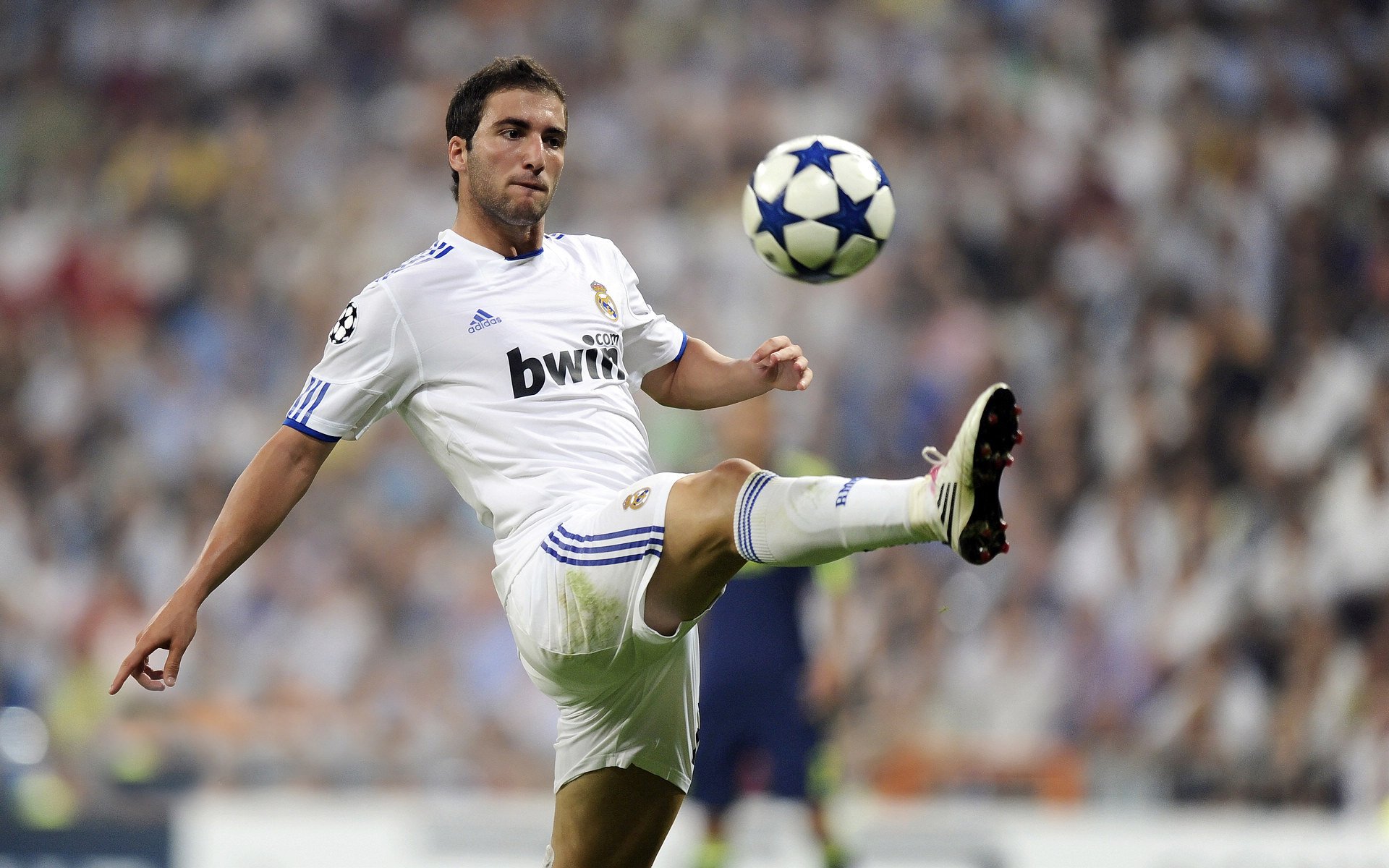 赛道上的双重风暴,梅赛德斯完胜红牛,诺里斯点燃赛场